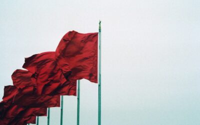 7 Red Flags to Watch For When Picking a Digital Marketing Agency in Nova Scotia